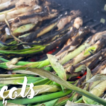 Calçots: temporada, origen y cómo disfrutarlos en casa